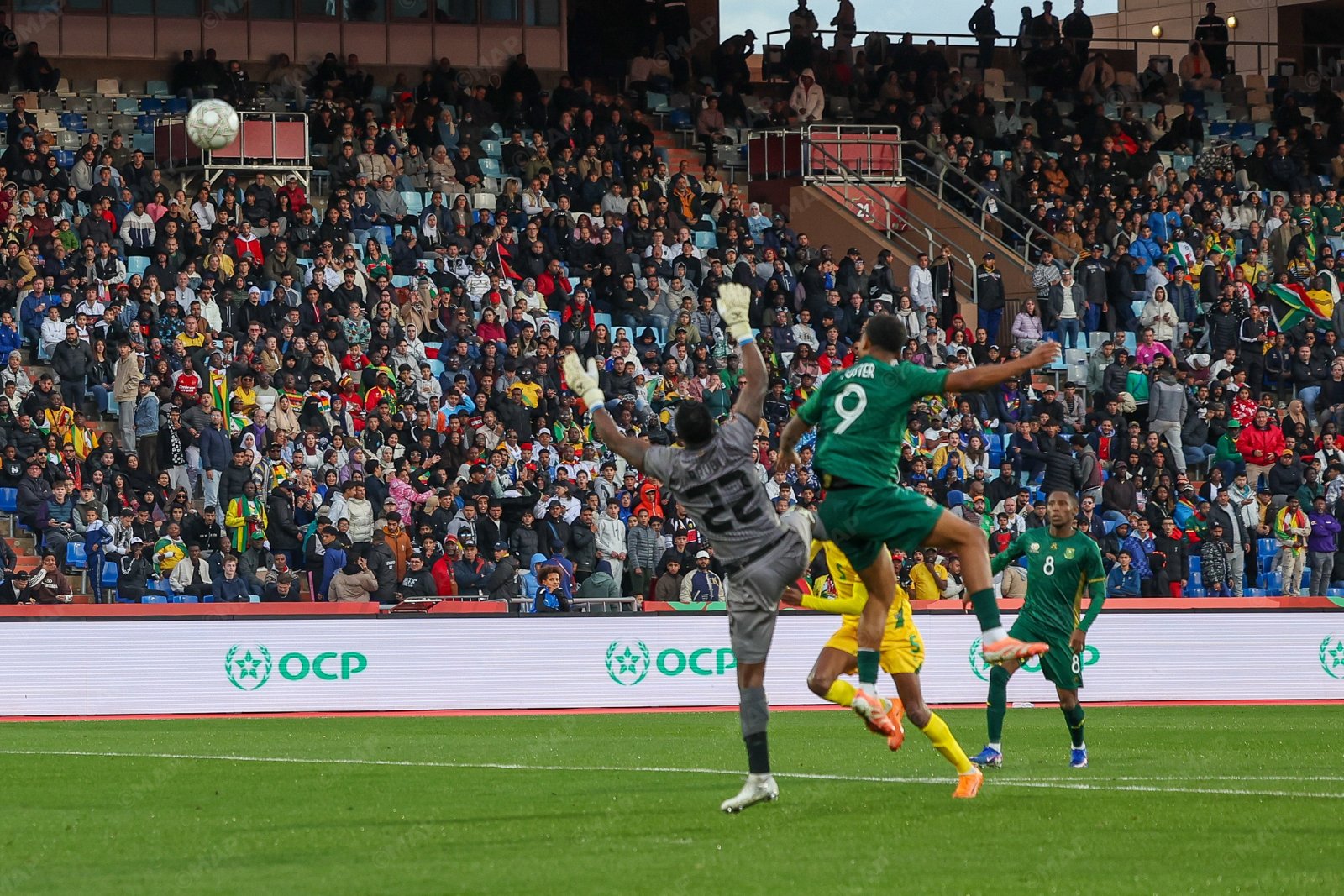 Broos Shields Foster From Fan Criticism