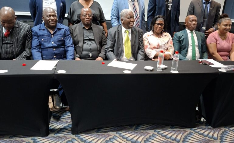 Mazwi Mkhize, SAFA president