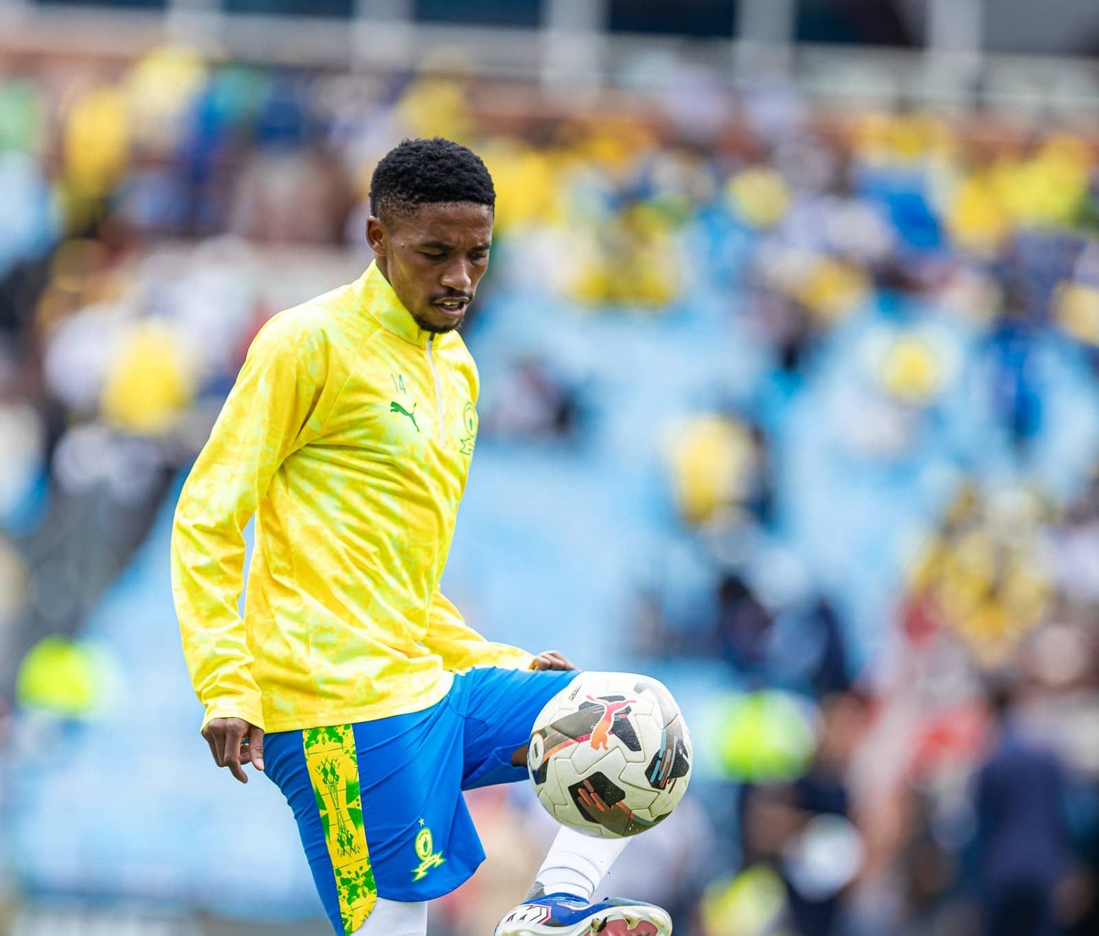 Cardoso Praises Saleng