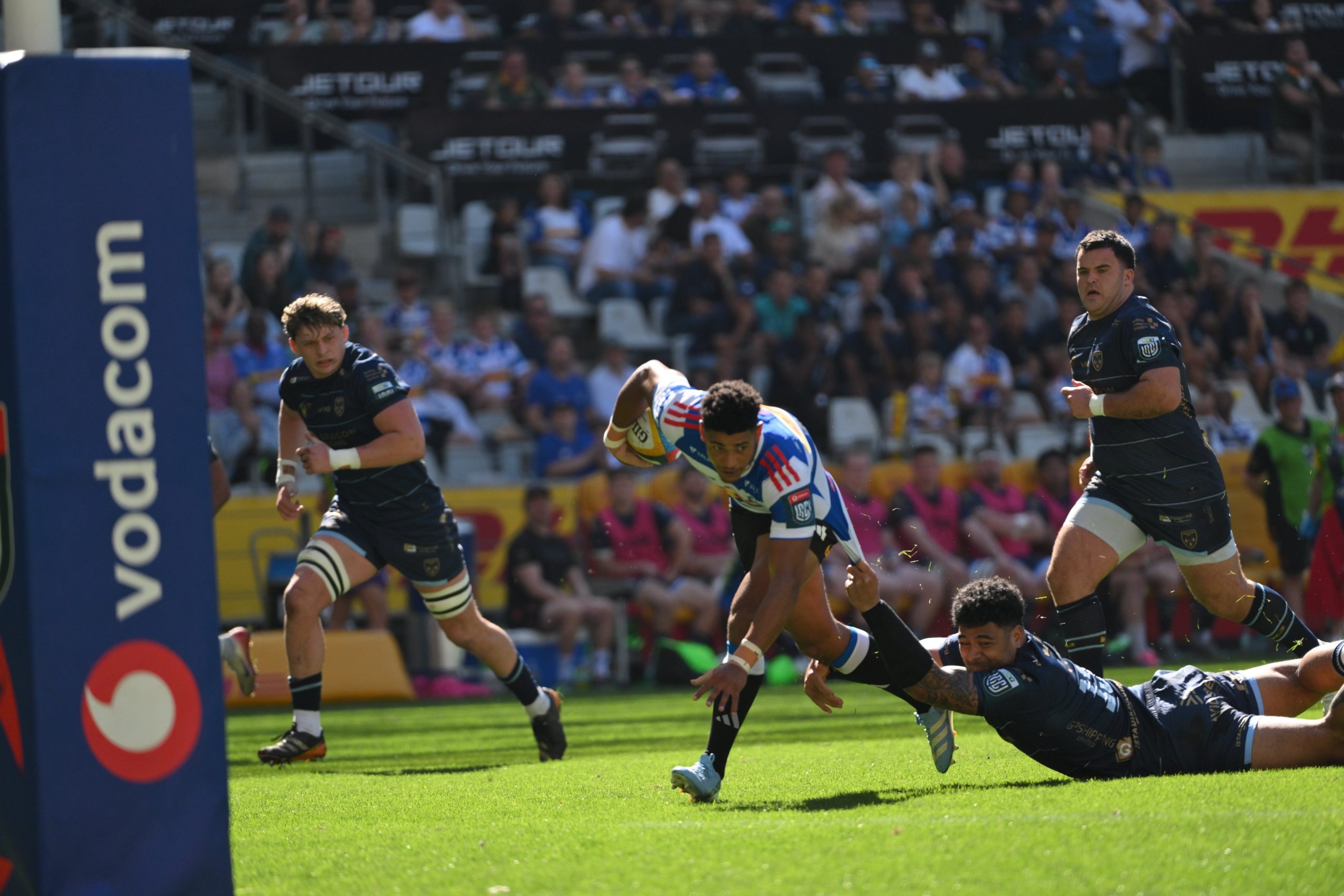 “Part of the Job”: Sacha Rejects Sympathy Amidst Stormers Social Media Storm