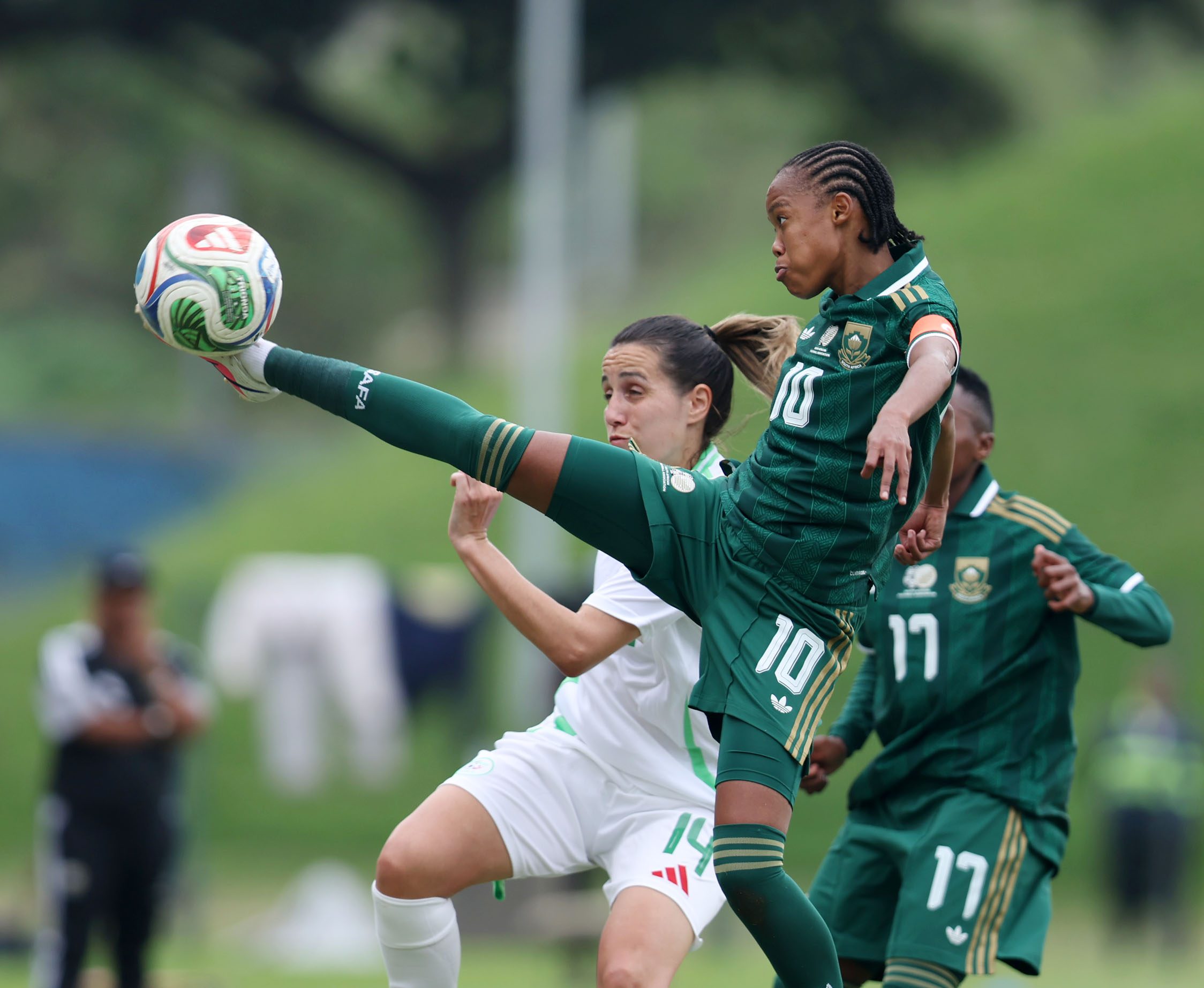 Ellis: Motlhalo Is South Africa’s Most Underappreciated Player