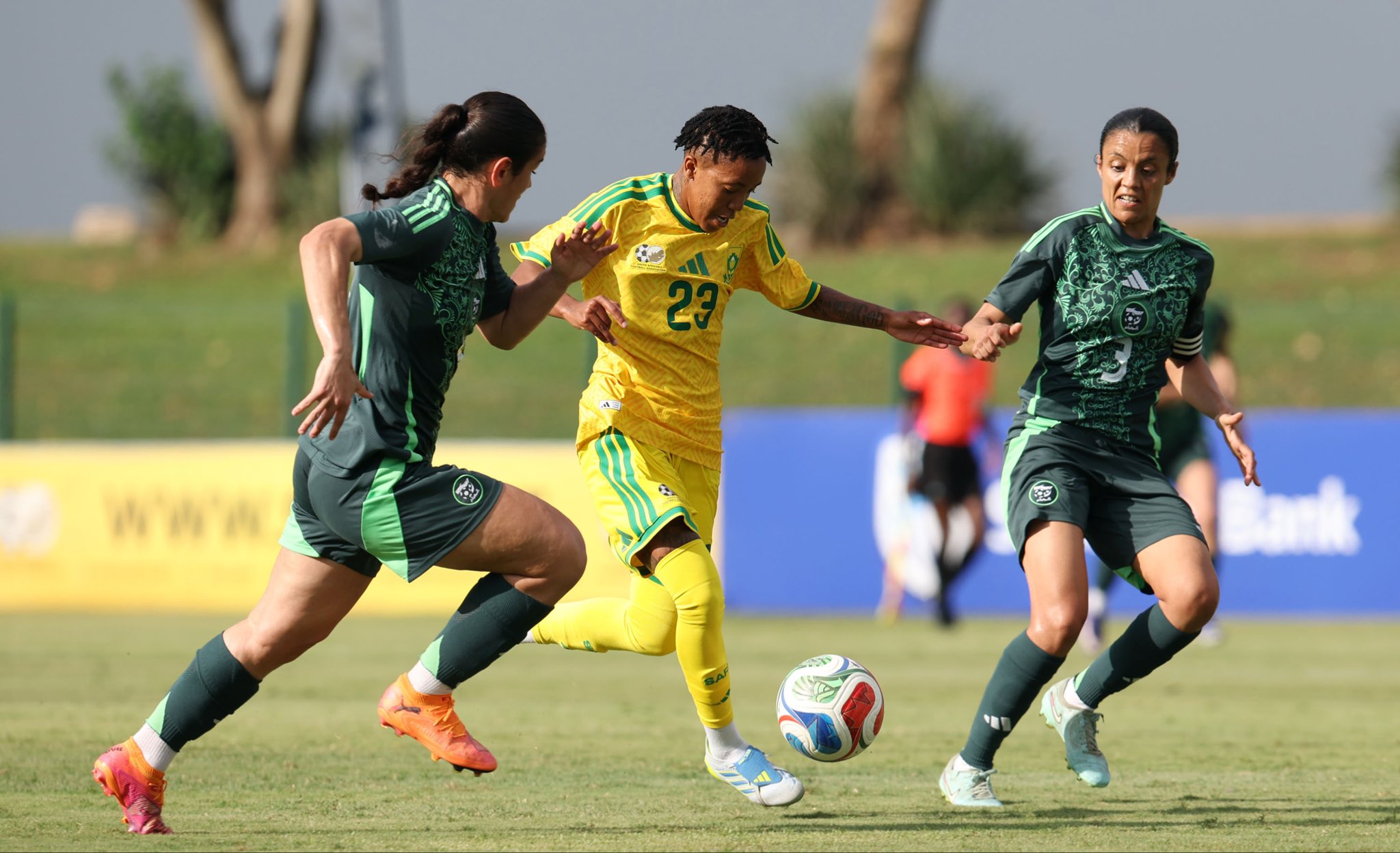 Ellis Praises Nthabiseng Majiya And Centurion Mbane After Algeria Win