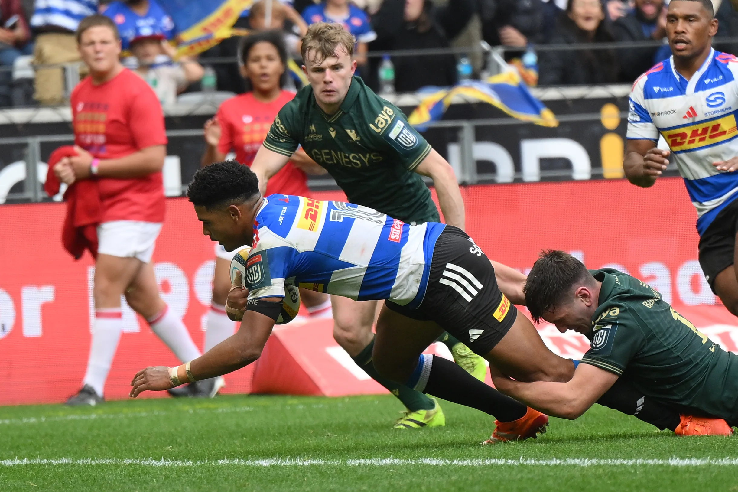 Sacha against Connacht