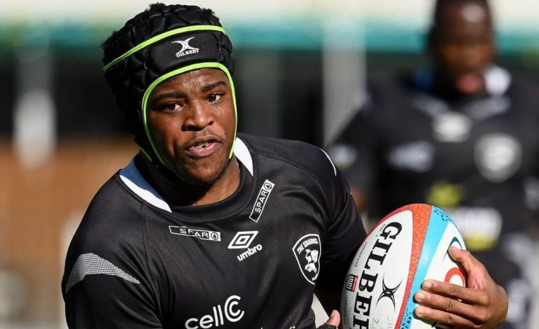 Sharks Unleash The Youth For The Future