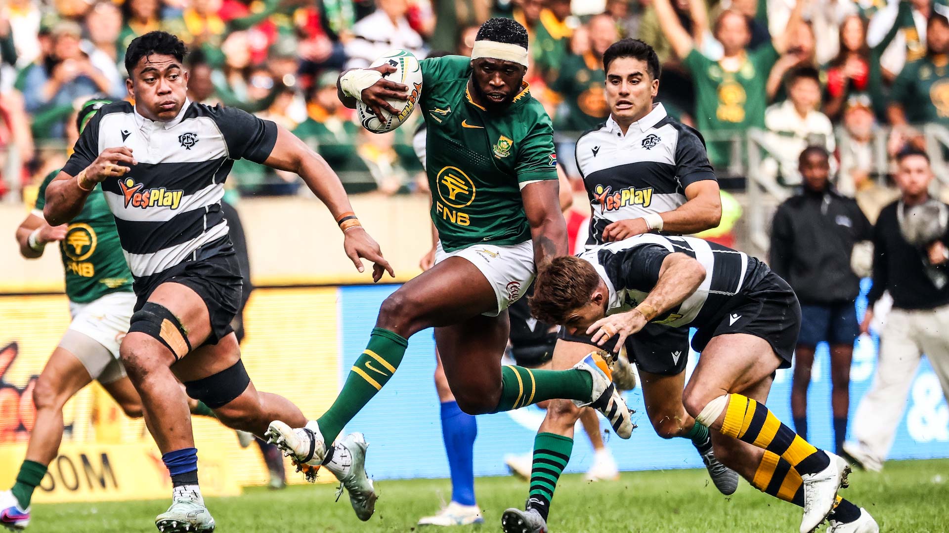 Springboks Triumph: Rassie Reviews New Talent