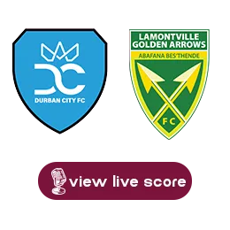 durbancity goldenarrows png