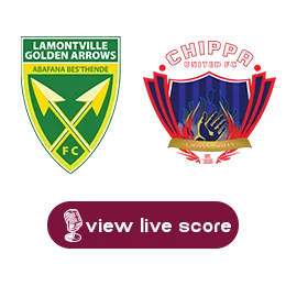 goldenarrows chippa png