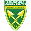 lamontville golden arrows png
