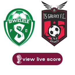 siwelele tsgalaxy png