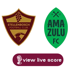 stellenbosch amazulu png