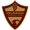 stellenbosch fc png