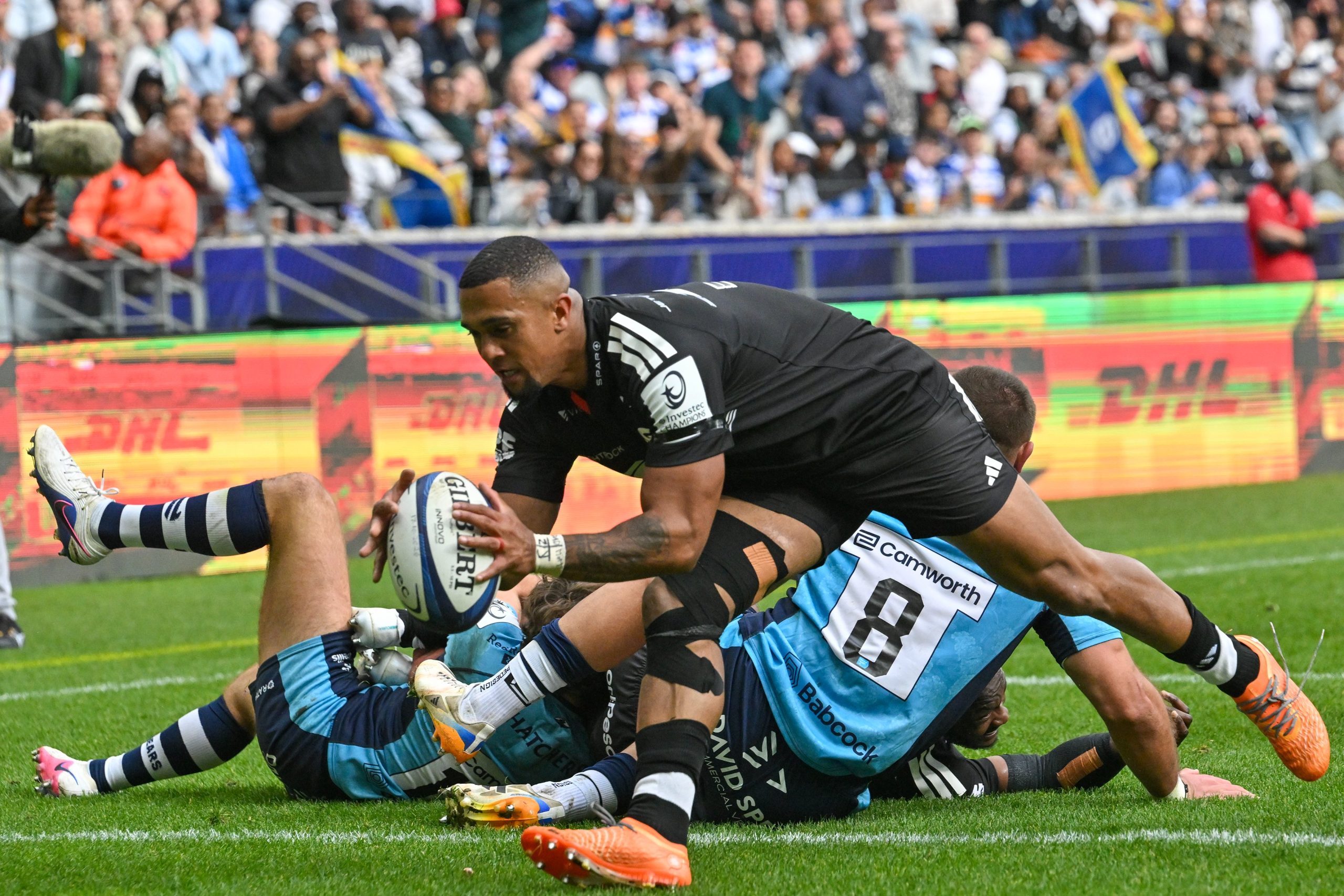 Seven-Try Stormers Deliver Champions Cup Demolition Against Bears